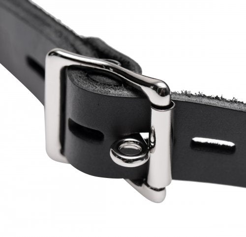 Feder Locking Open Mouth Gag MS-DU615