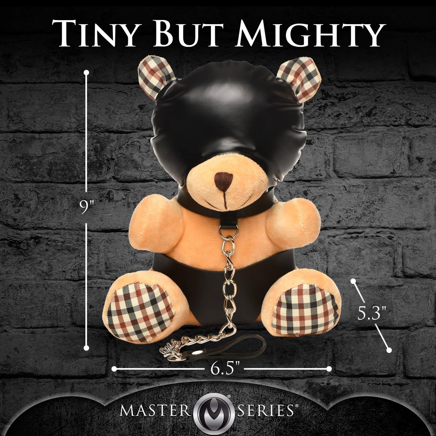 Hooded Teddy Bear Plush MS-AH216