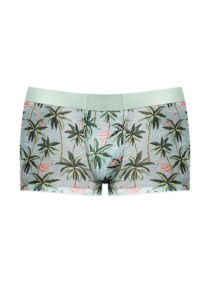 Sheer Prints - Seamless Sheer Short - X-Large - Flamingo