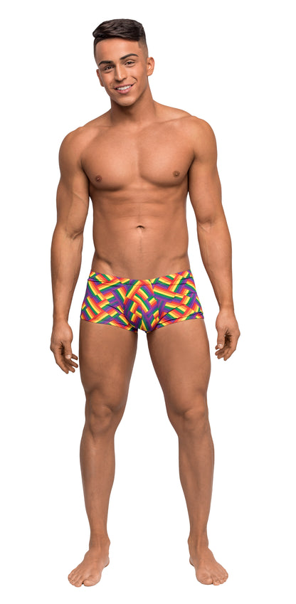 Pride Fest - Mini Short - Large - Print MP-145240PRL